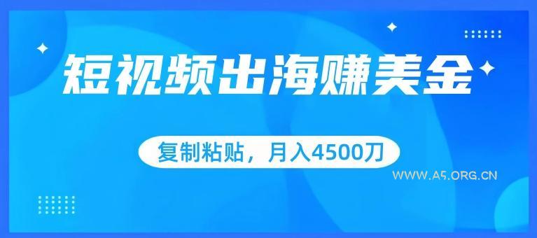 短视频出海赚美金，复制粘贴批量操作，小白轻松掌握，月入4500美刀【揭秘】