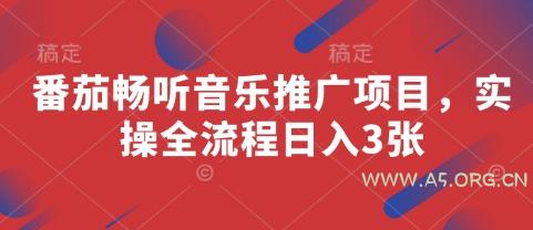 番茄畅听音乐推广项目，实操全流程日入3张