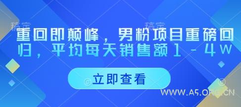 重回即颠峰,男粉项目重磅回归,平均每天销售额1-4W