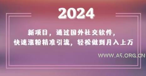 2024新项目，通过国外社交软件，快速涨粉精准引流，轻松做到月入上万【揭秘】
