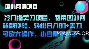 冷门撸美刀项目，利用国外网站刷视频，轻松日入80+美刀，可放大操作，小白随便上手