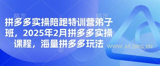 拼多多实操陪跑特训营弟子班,2025年2月拼多多实操课程,海量拼多多玩法