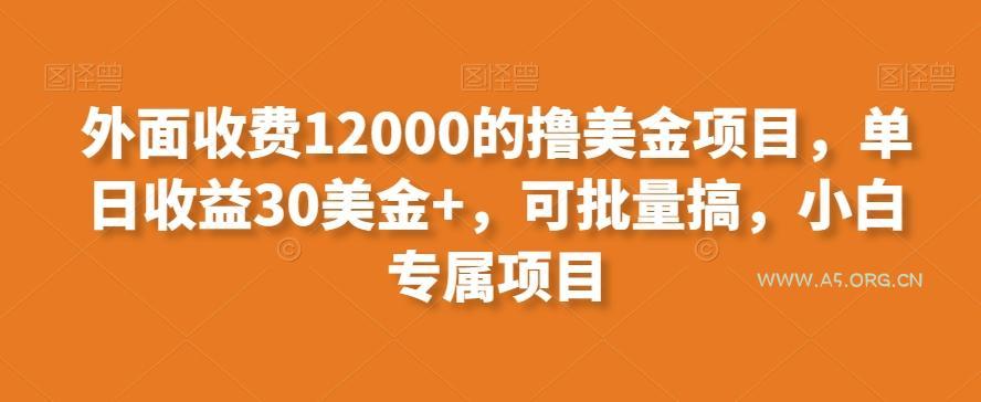 外面收费12000的撸美金项目，单日收益30美金+，可批量搞，小白专属项目