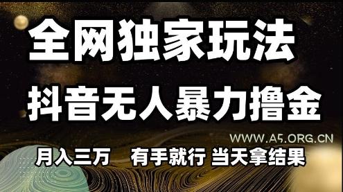 全网独家玩法抖音无人暴力撸金,月入3W,有手就行,当天拿结果【揭秘】