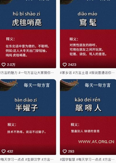 抖音最新涨粉玩法，图文方言暴力涨粉实操，126作品涨粉11W