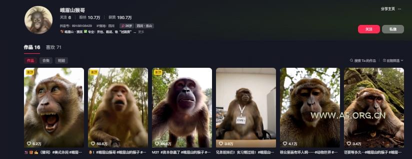 最新爆火的峨眉山猴子短视频制作教程，条条点赞10w+，谁做谁火【教程+提示词】