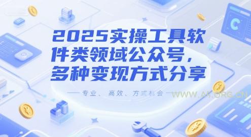 2025实操工具软件类领域公众号,多种变现方式分享