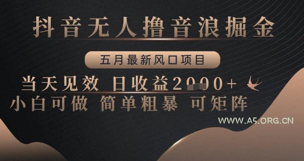 抖音无人撸音浪掘金，五月最新风口项目，当天见效，日收益多张，小白可做简单粗暴可矩阵【揭秘】