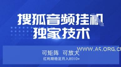 【搜狐音频挂G】独家技术，可矩阵可放大，红利期稳定月入8k【揭秘】