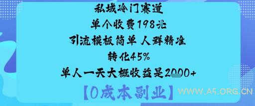 私域冷门赛道:单个收费198米引流模板简单人群精准转化45%单人一天大概收益是1k+