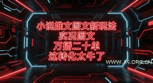 小说推文图文新玩法，实况图文，万播二十单，这转化太牛了！