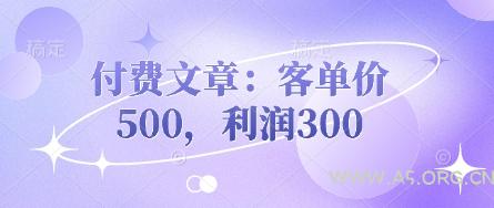 付费文章：客单价500，利润300