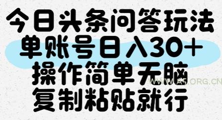 今日头条问答玩法，单账号日入30+，操作简单无脑复制粘贴就行