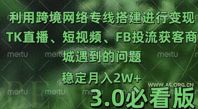 利用跨境电商网络及搭建TK直播、短视频、FB投流获客以及商城遇到的问题进行变现3.0必看版【揭秘】