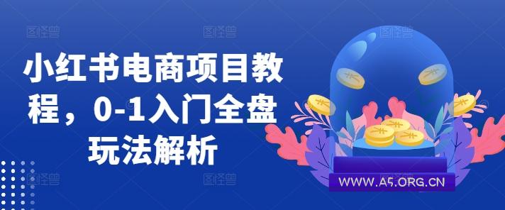 小红书电商项目教程，0-1入门全盘玩法解析