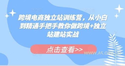 跨境电商独立站训练营，从小白到精通手把手教你做跨境+独立站建站实战