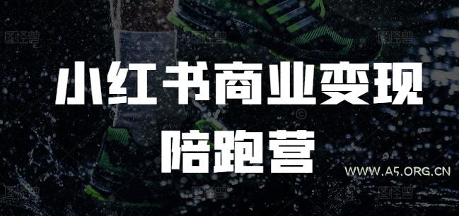 小红书商业变现陪跑营，小红书电商教程