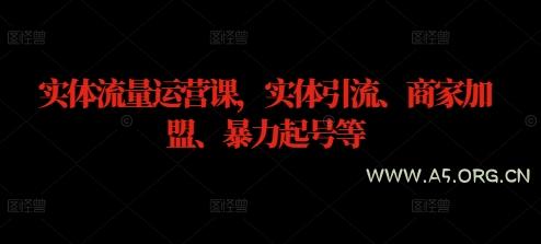 实体流量运营课，实体引流、商家加盟、暴力起号等