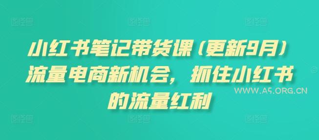 小红书笔记带货课(更新25年1月)流量电商新机会，抓住小红书的流量红利