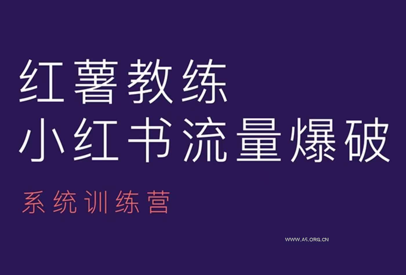 红薯教练-小红书内容运营课，小红书运营学习终点站