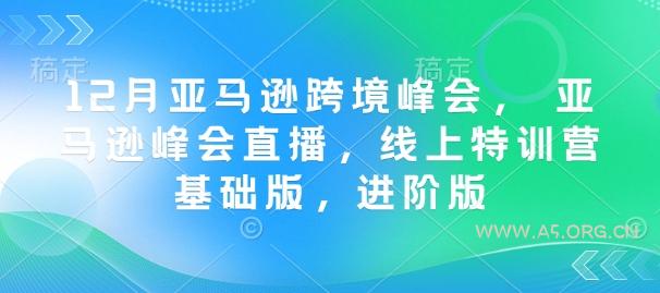 12月亚马逊跨境峰会, 亚马逊峰会直播,线上特训营基础版,进阶版