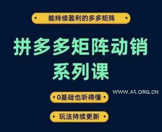拼多多矩阵动销系列课,能持续盈利的多多矩阵,0基础也听得懂,玩法持续更新