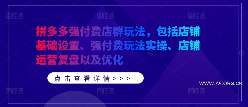 拼多多强付费店群玩法，包括店铺基础设置、强付费玩法实操、店铺运营复盘以及优化