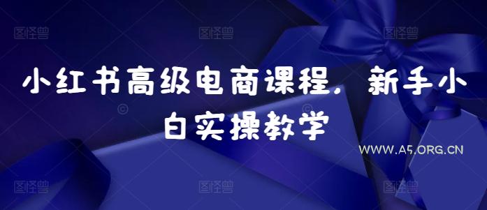 小红书高级电商课程,新手小白实操教学