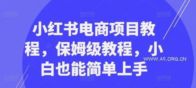 小红书电商项目教程，保姆级教程，小白也能简单上手