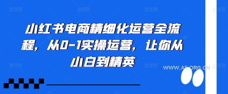 小红书电商精细化运营全流程，从0-1实操运营，让你从小白到精英
