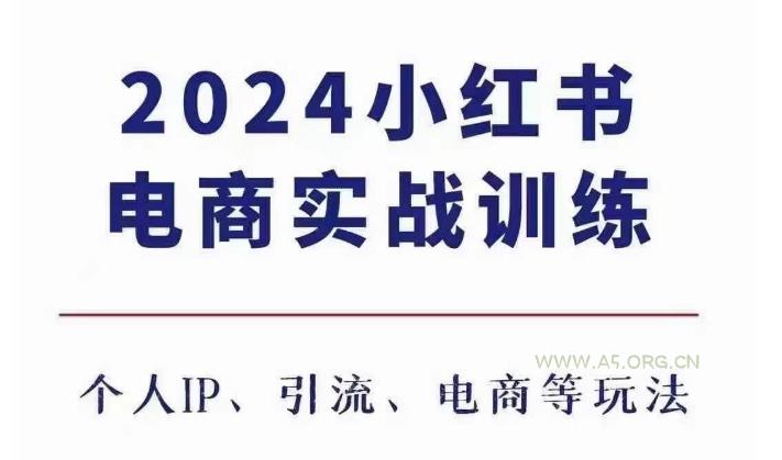 2024小红书电商3.0实战训练，包含个人IP、引流、电商等玩法