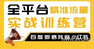 全平台精准流量实战训练营，百度微信抖音小红书SEO引流教程