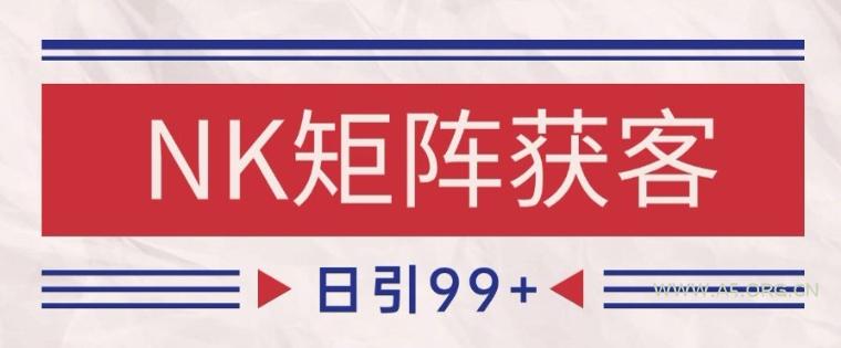 小红书某音NK赛道引流获客 自热矩阵日引200+【揭秘】