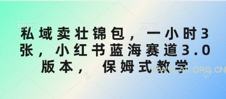 私域卖壮锦包,一小时3张,小红书蓝海赛道3.0版本, 保姆式教学