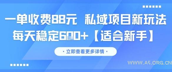 一单收费88元 私域项目新玩法 每天稳定6张+【适合新手】