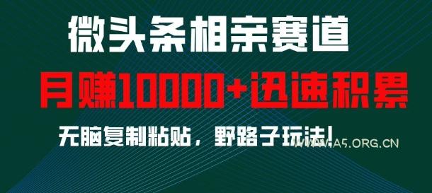 微头条相亲赛道，迅速积累，无脑复制粘贴，野路子玩法，月入1w