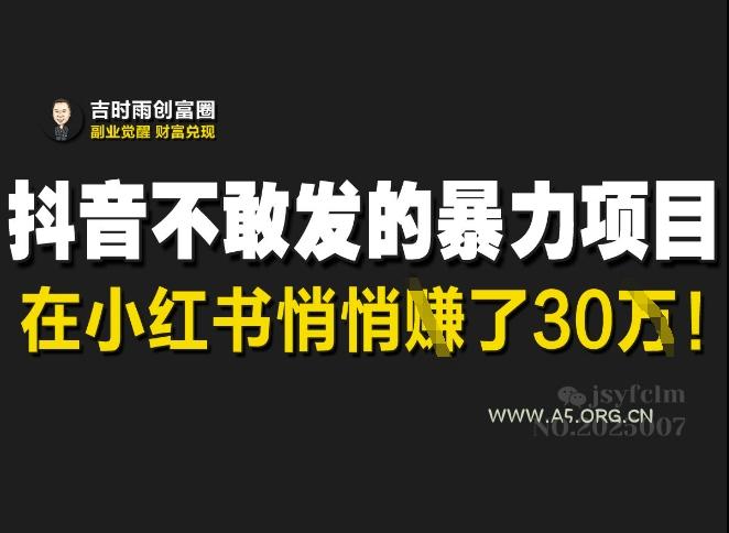 抖音不敢发的暴利项目，在小红书悄悄挣了30W
