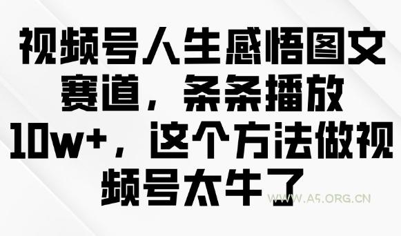 视频号人生感悟图文赛道,条条播放10w+,这个方法做视频号太牛了