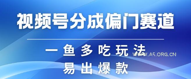 视频号创作者分成计划偏门类目，容易爆流，实拍内容简单易做【揭秘】