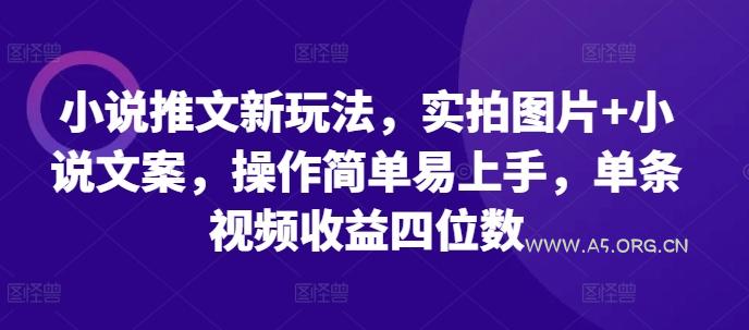 小说推文新玩法，实拍图片+小说文案，操作简单易上手，单条视频收益四位数