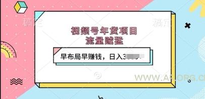 视频号年货项目，流量贼猛，早布局早挣钱，日入上k【揭秘】