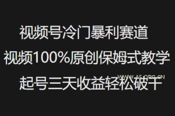 视频号冷门暴利赛道视频100%原创保姆式教学起号三天收益轻松破千
