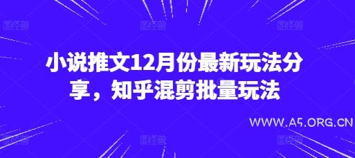 小说推文12月份最新玩法分享，知乎混剪批量玩法