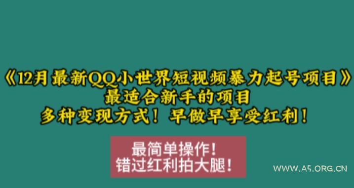 12月最新QQ小世界短视频暴力起号项目，最适合新手的项目，多种变现方式