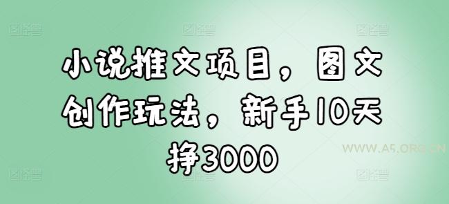 小说推文项目，图文创作玩法，新手10天挣3000