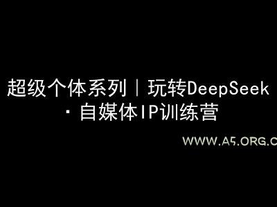 超级个体系列，玩转DeepSeek·自媒体IP训练营，deepseek教程