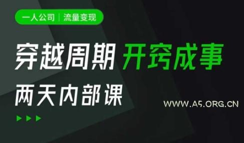 一人公司:流量变现课,一人公司的方法模型拆解, 拆解富人思维,流量思维,小老板思维等