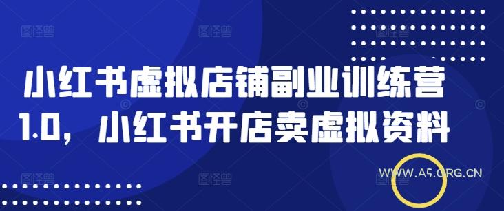 小红书虚拟店铺副业训练营1.0,小红书开店卖虚拟资料
