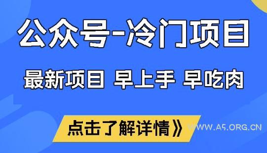 公众号冷门赛道，早上手早吃肉，单月轻松稳定变现1W【揭秘】