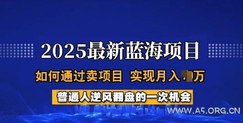 2025蓝海项目,普通人如何通过卖项目,实现月入过W,全过程【揭秘】